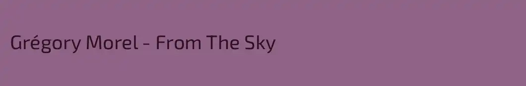 Grégory Morel - From The Sky